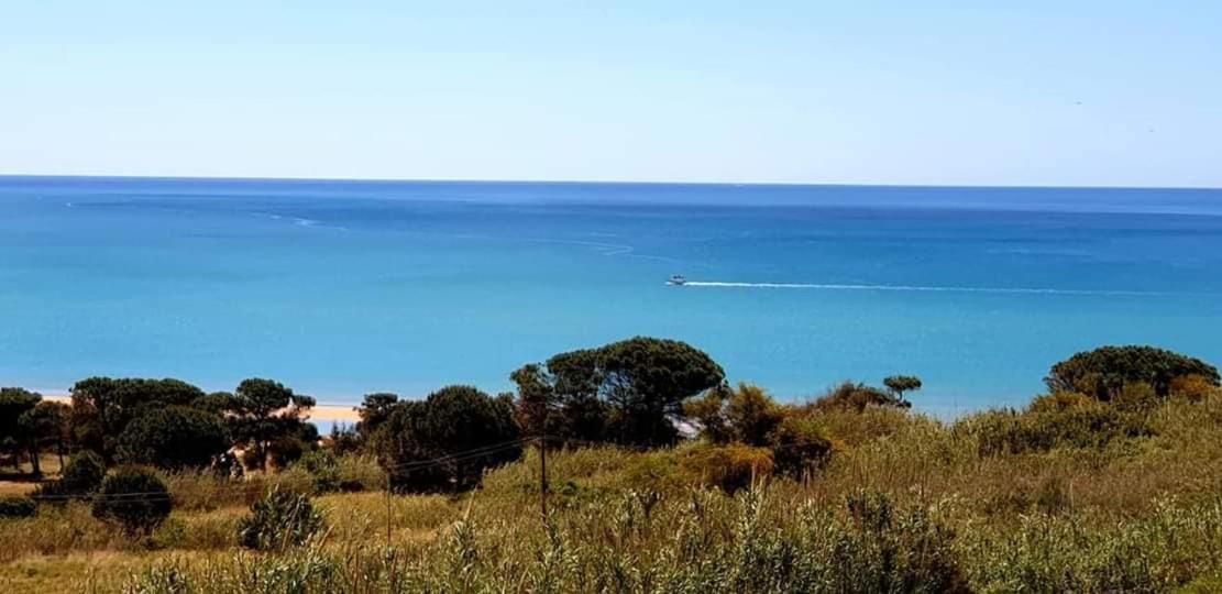 Il Canneto Di Selinunte Marinella di Selinunte Extérieur photo