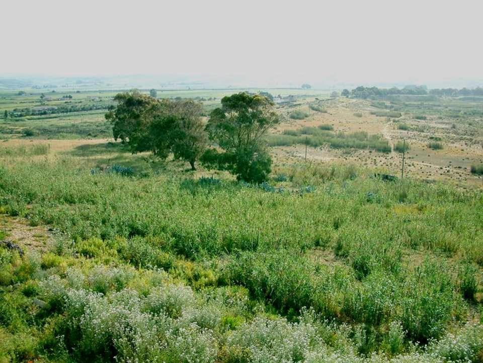 Il Canneto Di Selinunte Marinella di Selinunte Extérieur photo
